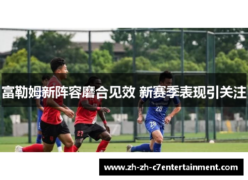 富勒姆新阵容磨合见效 新赛季表现引关注